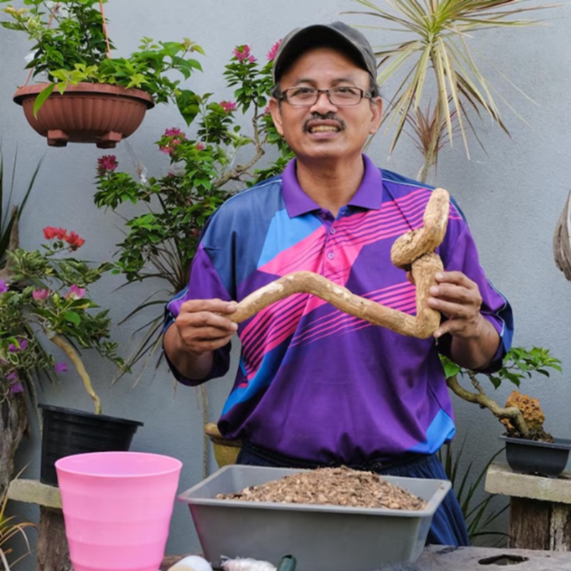 vendors-img-4